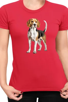 Produktbild von Damen T-Shirt Dogs Breeds Beagle Dog Breed 007, Lady S / Rot