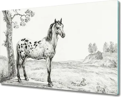Produktbild von Coloray Hackbrett Küchenbrett Kochplattenabdeckung Schneidebrett Herdabdeckplatte 80x52 cm - Tiere Pferd