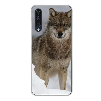 Produktbild von MuchoWow® Handyhülle Schutzhülle Hülle für Samsung Galaxy A50 Wolf - Schnee - Tiere Silikon Softcase Handy Hülle - Mobiltelefonhülle