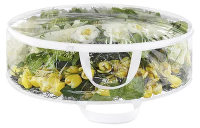 Image de Sac à bandoulière transparent Whitmor pour le quotidien