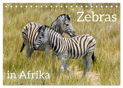 Produktbild von Zebras in Afrika (Tischkalender 2027 DIN A5 quer), CALVENDO Monatskalender