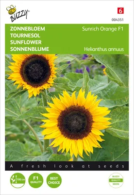 Produktbild von Sonnenblume Sunrich Orange F1 | Sonnenblumensamen von Buzzy Seeds