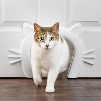Produktbild von Katzendurchgang - PETSAFE - CAT CORRIDOR™ - Weiß