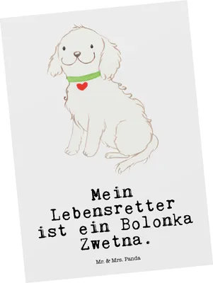 Produktbild von Mr. & Mrs. Panda Grußkarte Bolonka Zwetna Lebensretter - Weiß - Geschenk, Fotokarte, Ansichtskarte, Postkarten, Postkarte, Ansichtskarten, Tsvetnaya