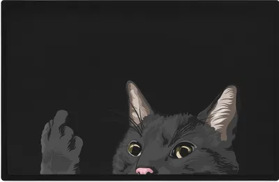 Produktbild von Trendation - Lustige Fußmatte Katze Geschenk Katzenbesitzerin Mittlerer Finger Freche Katze Frauen Geschenkidee