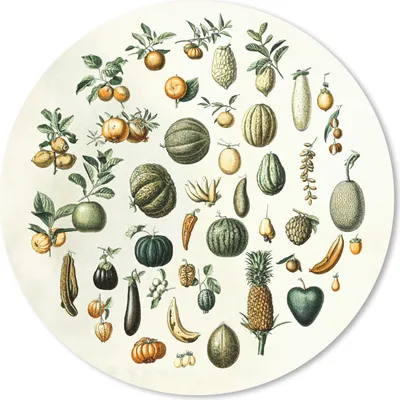 Produktbild von MuchoWow® Mauspad Mousepad Gemüse - Obst - Vintage 40x40 cm - Mousepads - Maus Mat - Pad - Mausunterlage - Schreibtisch Accessoires