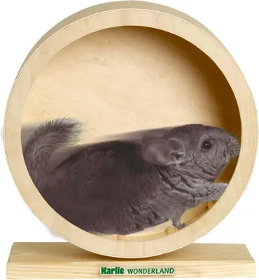 Immagine prodotto di Karlie - BOGIE WHEEL Ruota di legno per roditori - 30 cm