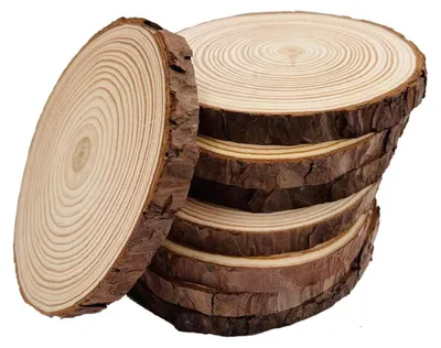 Obrázok produktu pre Drevené krúžky s kôrou, 8 kusov, priemer 14-15,2 cm, súprava na výrobu podtáckov, rustikálny štýl