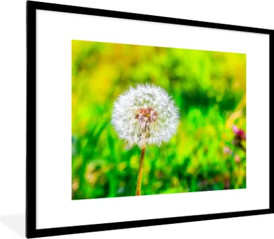 Produktbild von MuchoWow® Gerahmtes Poster Löwenzahn - Gras - Blume 80x60 cm - Poster mit Schwarzem Bilderrahmen Wandposter Rahmen Foto Bilder - Schlafzimmer-Dekorationen - Fotoposter