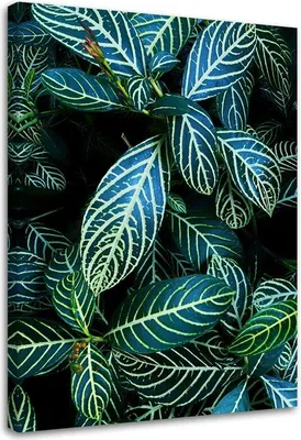 Produktbild von Leinwandbild blätter einer tropischen pflanze 80x120 cm Feeby grün wandbild bereit zum aufhängen