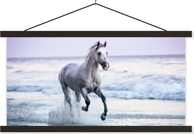 Produktbild von MuchoWow® Textilposter Pferde - Luft - Meer 120x60 cm mit schwarzem Rahmen - Dekoration Schlafzimmer