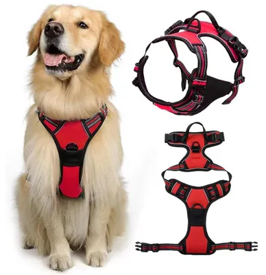 Productafbeelding van Reflecterend Antislip Hondentuig voor Grote Honden, Verstelbaar en Robuust