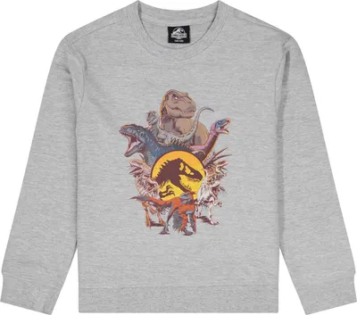 Produktbild von Jurassic World Dinosaurier Sweat-Shirt Pullover Sweater Grau  , Größe:146-152