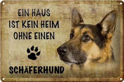 Produktbild von Blechschild Spruch 30x20cm Schäferhund Hund ohne kein Heim