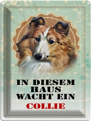 Produktbild von vianmo Blechschild 40x30 cm Hund in diesem Haus wacht ein Collie