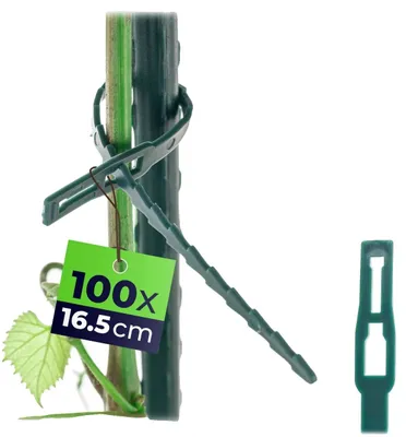 Image de Serre-plantes, design flexible, matériau durable, vert clair