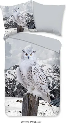 Immagine prodotto di Muller Textiles 20040.03.08, Copriletto incluso, federa inclusa