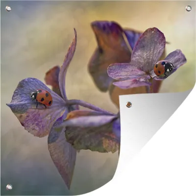 Produktbild von MuchoWow® 100x100 cm Outdoor-Poster Gartendeko Sichtschutz Garten Poster für den Garten  Zwei Marienkäfer auf Blumen