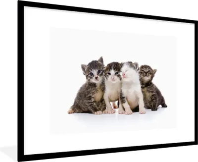 Produktbild von MuchoWow® Gerahmtes Poster Katze - Haustiere - Fell - Porträt 90x60 cm - Poster mit Schwarzem Bilderrahmen Wandposter Rahmen Foto Bilder - Wanddekoration - Fotos