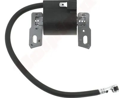 Produktbild von Zündspule Für Briggs & Stratton ( 843931 )