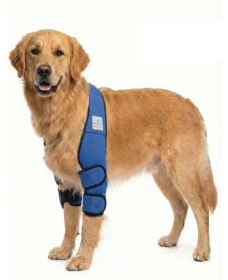 Productafbeelding van Ligbandage voor Honden (L Blauw)