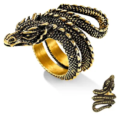 Image de Solidchoice - Bague vintage "Slangen" en acier inoxydable, bijou gothique
