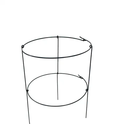 Produktbild von Pflanzenstütze Pflanzenhalter Blumenstütze Rankhilfe Kletterhilfe 2 Ringe Grün