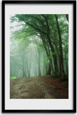 Produktbild von Bild - Bilderrahmen - 40 cm x 60 cm - MDF - Rahmen - Wandkunst - Nebel im Wald