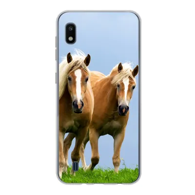 Produktbild von MuchoWow® Handyhülle Schutzhülle Hülle für Samsung Galaxy A10 Pferde - Gras - Luft Silikon Softcase Handy Hülle - Schutzhülle