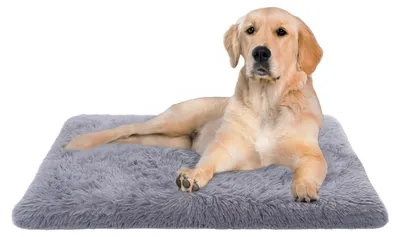 Produktbild von Hundebett Katzenbett Flauschig Hundekissen Hundesofa Hundedecke Hundekörbchen 60x100 cm