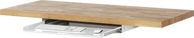 Produktbild von Rau Tastaturauszug 2, B745xT485xH85mm, RAL7035