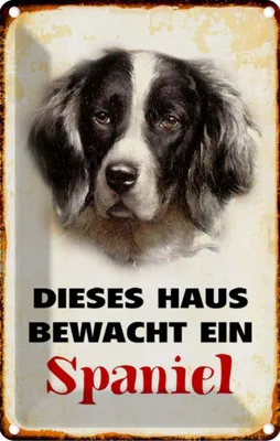 Produktbild von vianmo Blechschild 18x12 cm Hund dieses Haus bewacht ein Spaniel Tier Haustier
