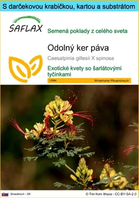 Obrázok produktu pre SAFLAX Darčeková sada - Odolný ker páva - Caesalpinia gillesii X spinosa - 10 Semená - S darčekovou krabičkou, prepravným štítkom, darčekovou kartou a pestovateľským médiom