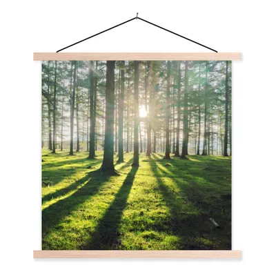 Produktbild von MuchoWow® Textilposter Bäume - Natur - Wald 60x60 cm mit holzfarbenen Rahmen - Wanddekoration