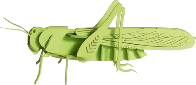 Obrázok produktu pre 3D model, kobylka, špeciálny kartón, rezaný laserom