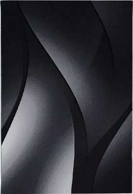 Image de Teppium Tapis 120x170 cm Noir Poils Courts Motif Vagues Abstraites Moderne pour Salon Chambre Cuisine Couloir Salle à Manger Doux