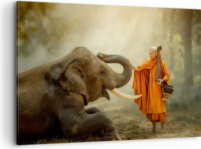 Produktbild von Bild auf Leinwand - Leinwandbild - Elefant Mönch Stoßzahn - 120x80cm - Wand Bild - Wanddeko - Leinwanddruck - Bilder - Kunstdruck - Wanddekoration - Leinwand bilder - Wandkunst - AA120x80-3484
