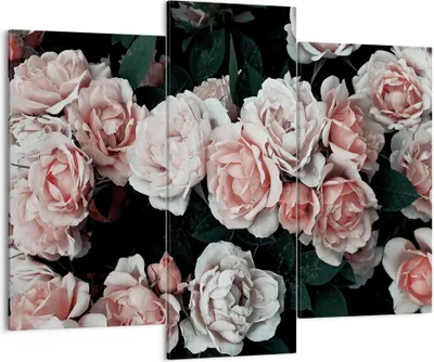 Produktbild von Bild auf Leinwand - Leinwandbild - 3 Teile - Rosen Blumen Blätter - 130x100cm - Wand Bild - Wanddeko - Wandbilder - Leinwanddruck - Bilder - Wanddekoration - Leinwand bilder - CB130x100-4760