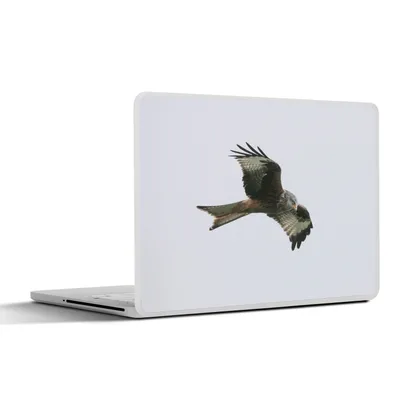 Produktbild von MuchoWow® Laptop Aufkleber Sticker Cover Vogel - Raubvogel - Fliegen 30x22 cm - Laptop-Sticker