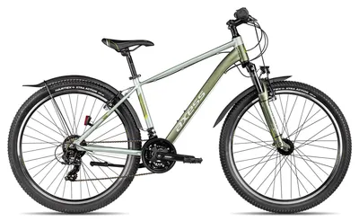 Produktbild von Axess Adventure 27.5 27.5 Zoll Grün 43 cm