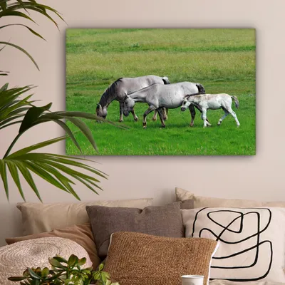 Produktbild von OneMillionCanvasses® - Leinwandbilder - 150x100 cm, Pferde - Tiere - Gras, Wandbilder Kunstdruck Wanddekoration