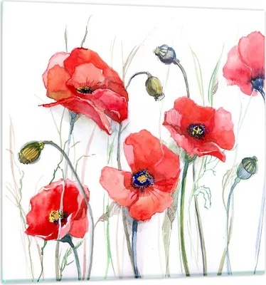 Produktbild von Bilder auf glas - Blume Mohn Wiese - 50x50cm - Glasbilder - Wandbilder - Kunstdruck - zum Aufhängen bereit - Wanddekoration aus Glas - Glas Bilder - Wandbild auf Glas - Einteilig - GAC50x50-3584