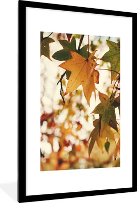 Produktbild von MuchoWow® Gerahmtes Poster Natur - Herbstlaub - Rustikal 60x90 cm - Poster mit Schwarzem Bilderrahmen Wandposter Rahmen Foto Bilder - Dekoration - Wandposter Wohnzimmer - Hochwertig