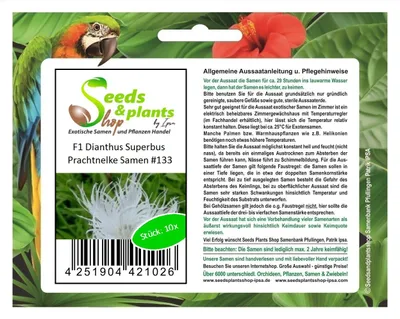 Produktbild von 10x F1 Dianthus Superbus Prachtnelke Pflanzen - Samen #133