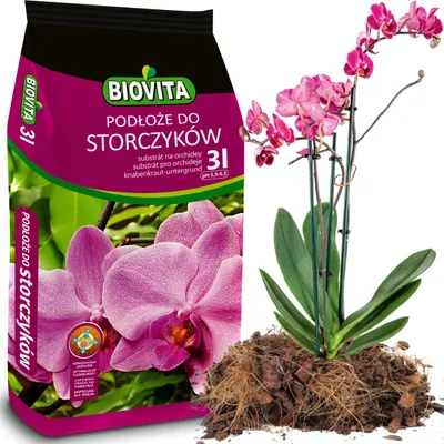 A bag of orchid substrate next to a potted orchid plant.