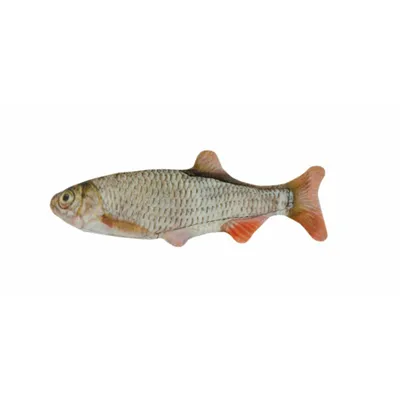 Immagine prodotto di Trota con erba gatta