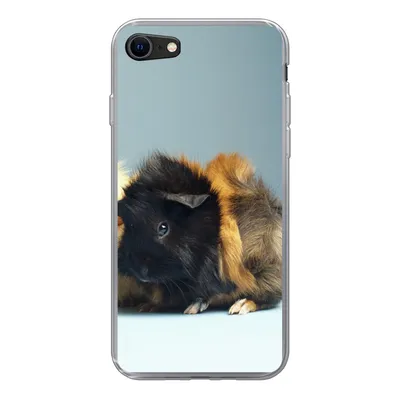 Produktbild von MuchoWow® Handyhülle Schutzhülle Hülle für iPhone 7 Zwei kleine Meerschweinchen Silikon Softcase Handy Hülle - Kartenhalter