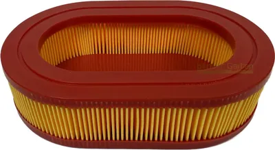 Immagine prodotto di Filtro aria per Hortmasz DV196 DV225 GT153NKS HKS650N1 DK53N225E / 292915/1 5314