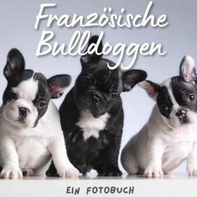 Produktbild von Französische Bulldoggen