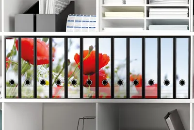 Produktbild von Wallario Ordnerrücken Sticker, selbstklebend für breite Ordner, 12 Stück, Motiv Mohnblumen unter blauem Himmel